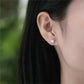FairyLocus Classic Round Cut Moissanite Diamond Stud Earring D Color VVS1 FLZZERMS12 FairyLocus